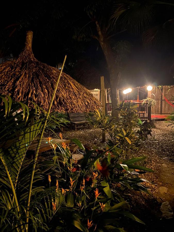Hostal Zinpar パロミノ エクステリア 写真