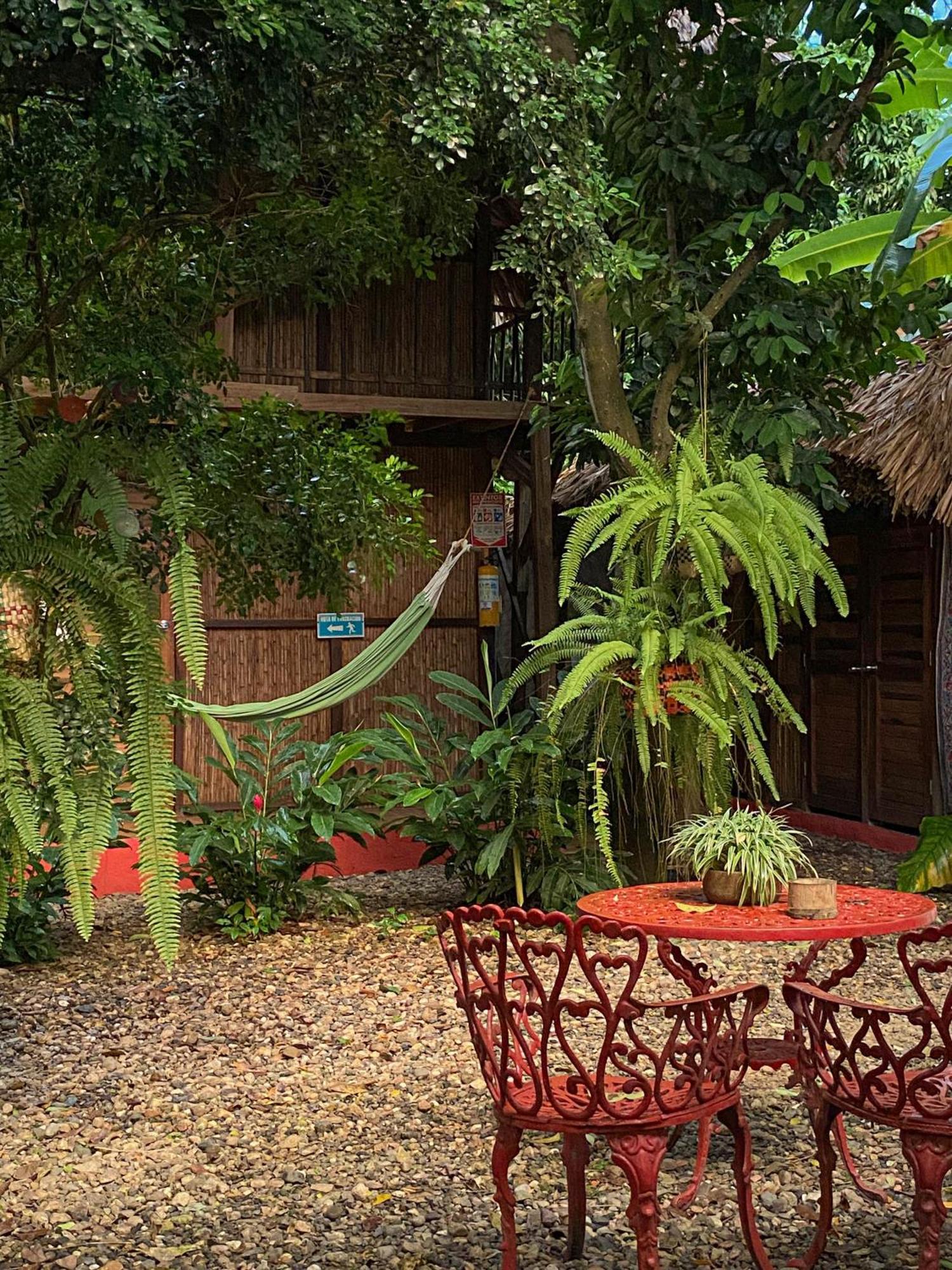 Hostal Zinpar パロミノ エクステリア 写真