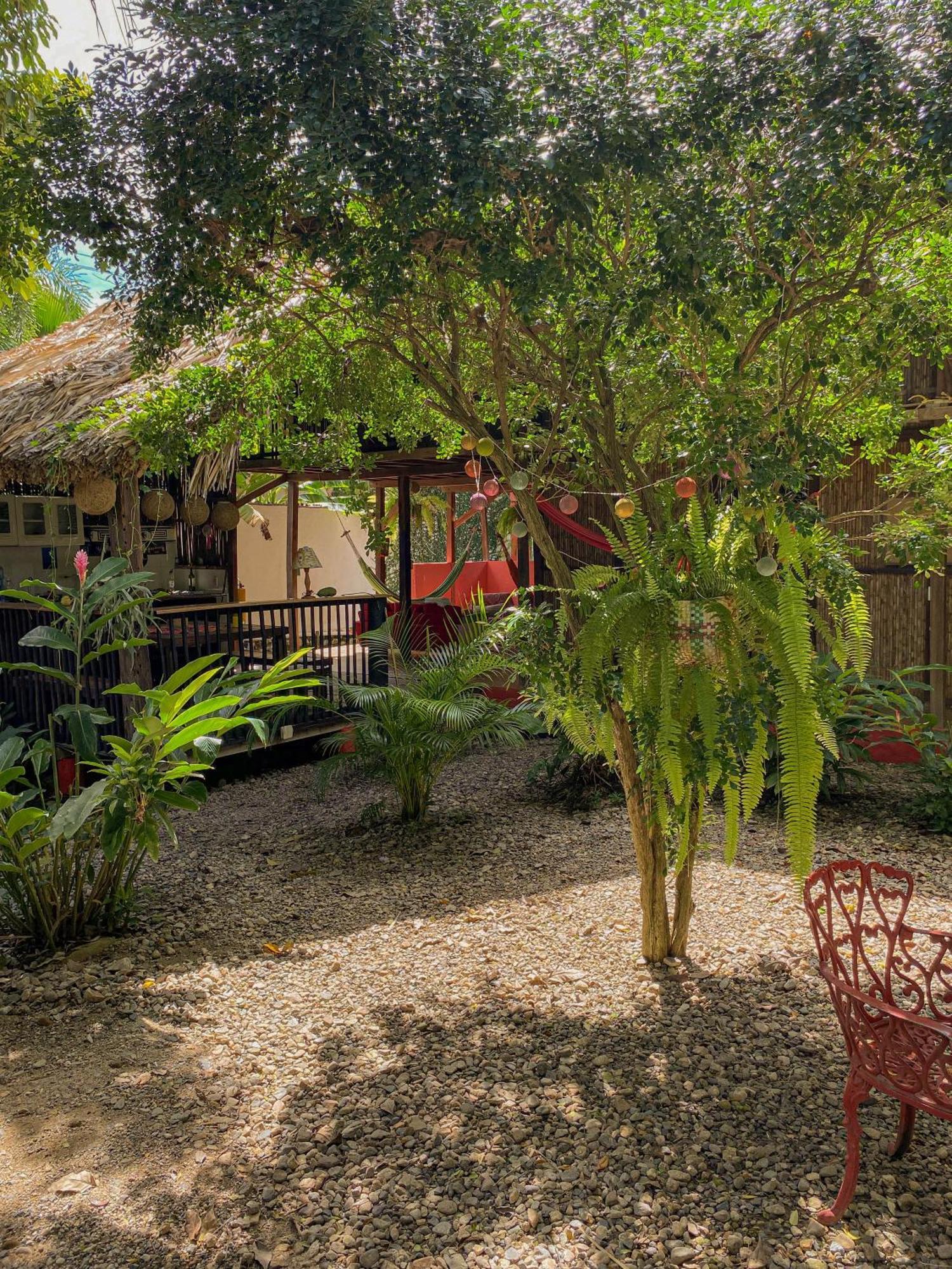 Hostal Zinpar パロミノ エクステリア 写真